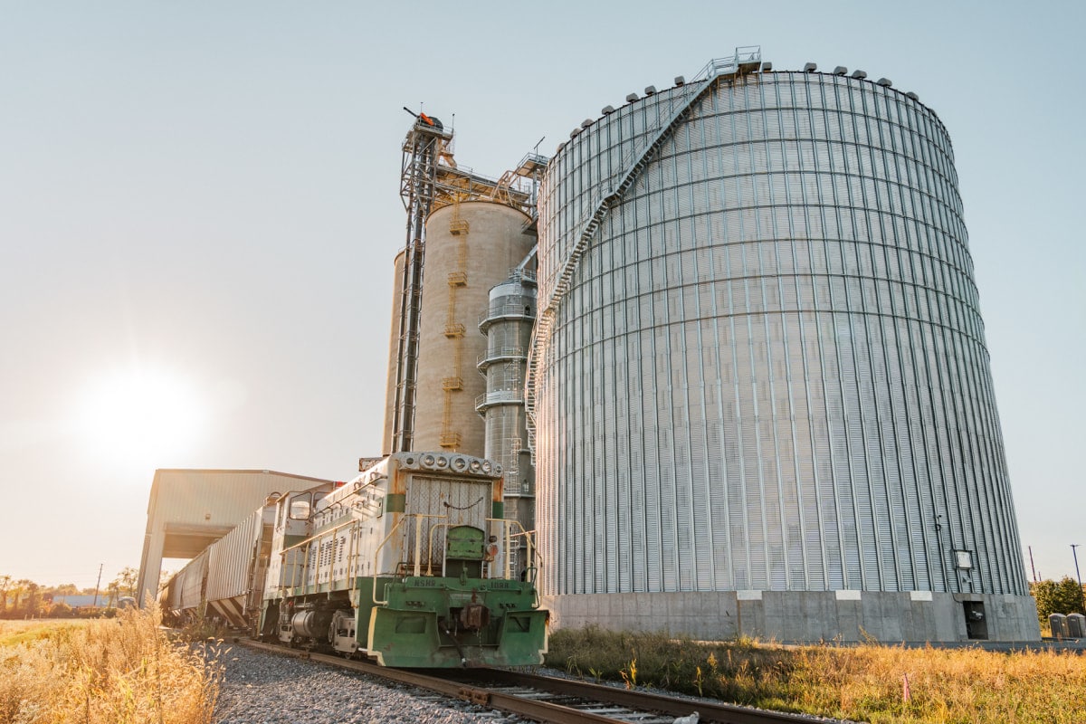 groff-julius-white-deer-train